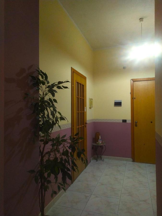 Camera Etna Pozzo Luce 비안카빌라 외부 사진